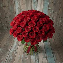 Букет 55 Красных роз Фридом #REPLACE_PRED# Ильинское (Домодедово) 