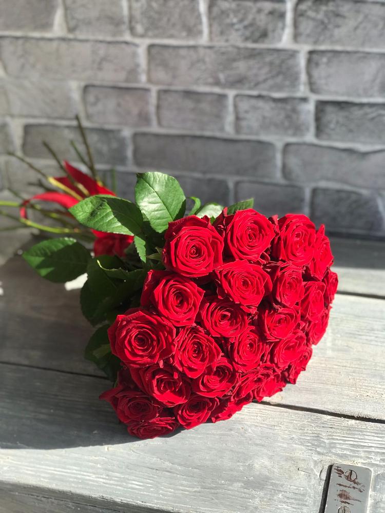 Букет Красные розы Фридом в Ильинское (Домодедово) 