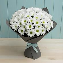 Букет цветов из:  Хризантемы в Ильинское (Домодедово) 