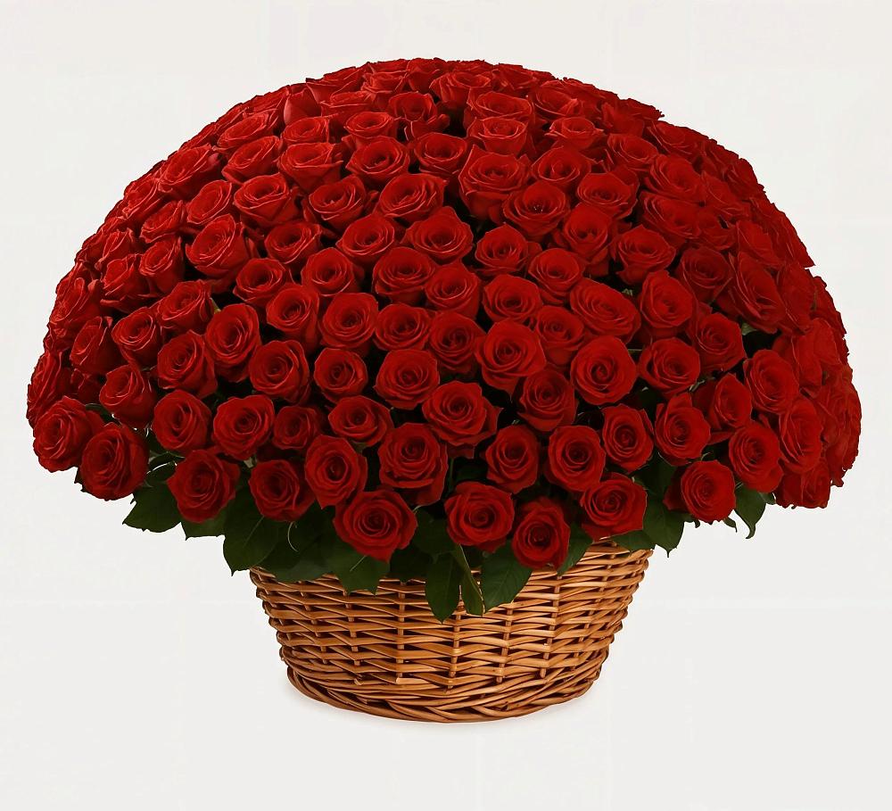 Премиум букет из: Розы в Ильинское (Домодедово) 