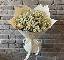 Букет цветов из:  Ромашки в Ильинское (Домодедово) 