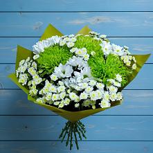 Букет цветов из:  Хризантемы #REPLACE_PRED# Ильинское (Домодедово) 