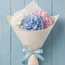 Букет цветов из:  Гортензия в Ильинское (Домодедово) 