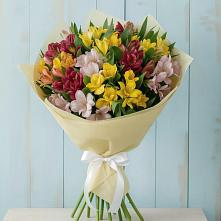 Букет цветов из:  Альстромерии в Ильинское (Домодедово) 