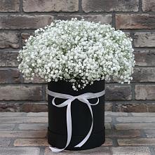 Цветочная композиция из Гипсофила в шляпной коробке в Ильинское (Домодедово) 