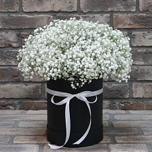 Цветочная композиция из Гипсофила в шляпной коробке в Ильинское (Домодедово) 