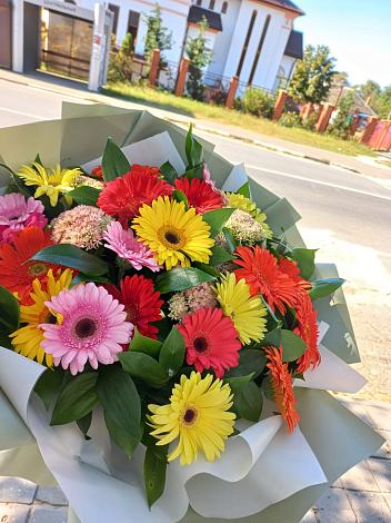 Букет цветов из: Герберы в Ильинское (Домодедово) 