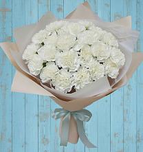 Букет цветов из:  Гвоздики в Ильинское (Домодедово) 