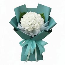 Букет цветов из:  Гортензия в Ильинское (Домодедово) 